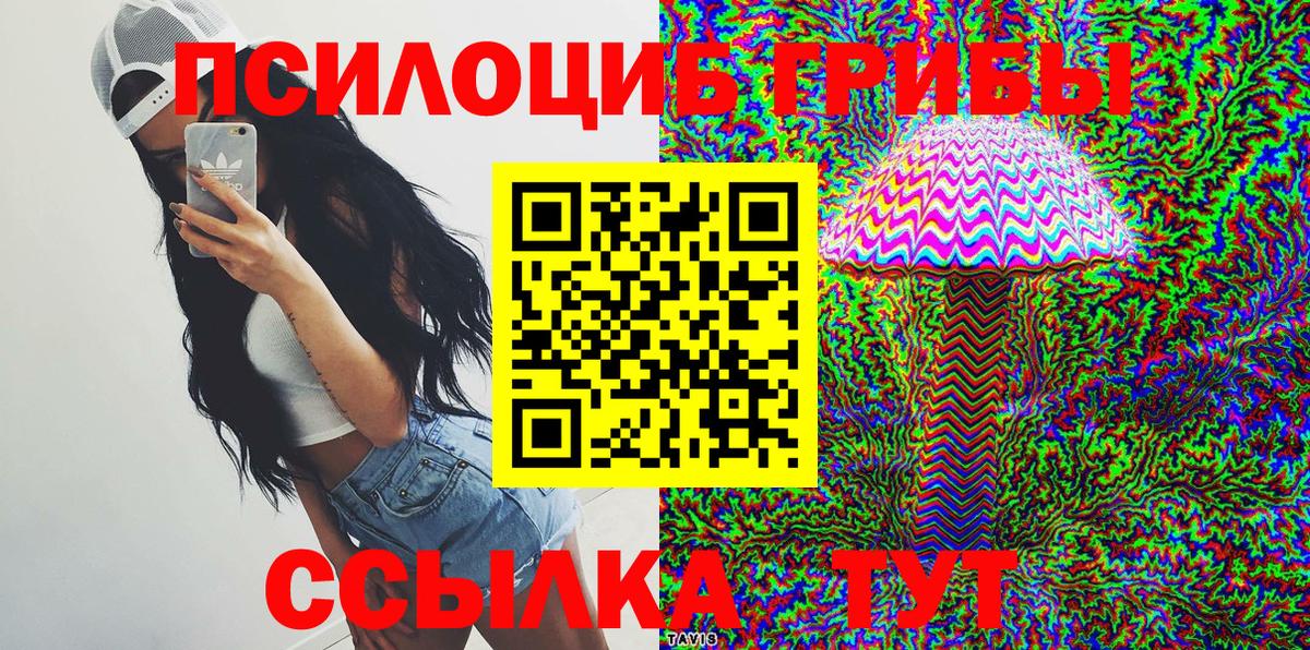 Псилоцибиновые грибы GOLDEN TEACHER Киселёвск