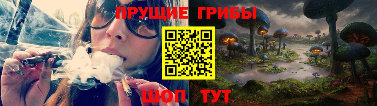 Киселёвск  Галлюциногенные грибы Magic Shrooms  Вход с VPN  где можно купить   Галлюциногенные грибы прущие грибы 